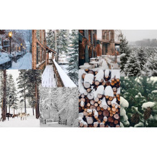 Winter Essentials